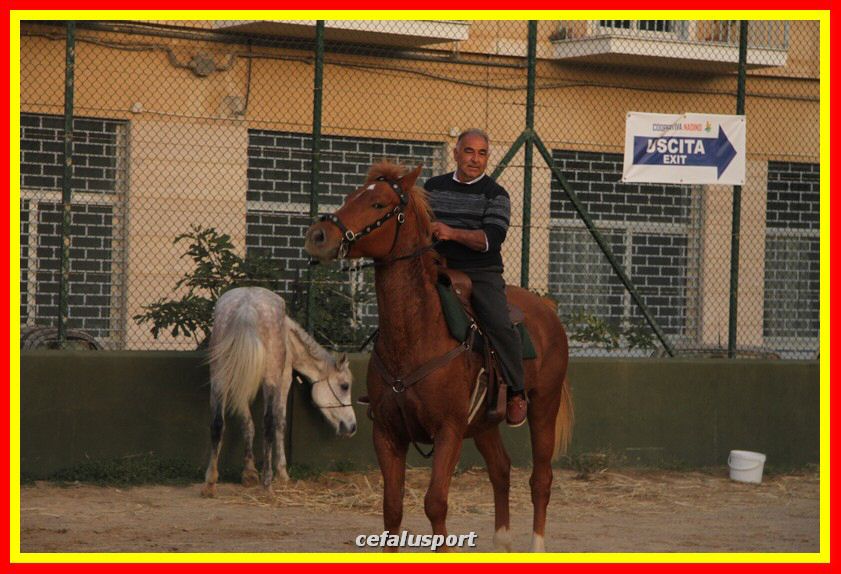 161106 equestre 121_tn.jpg